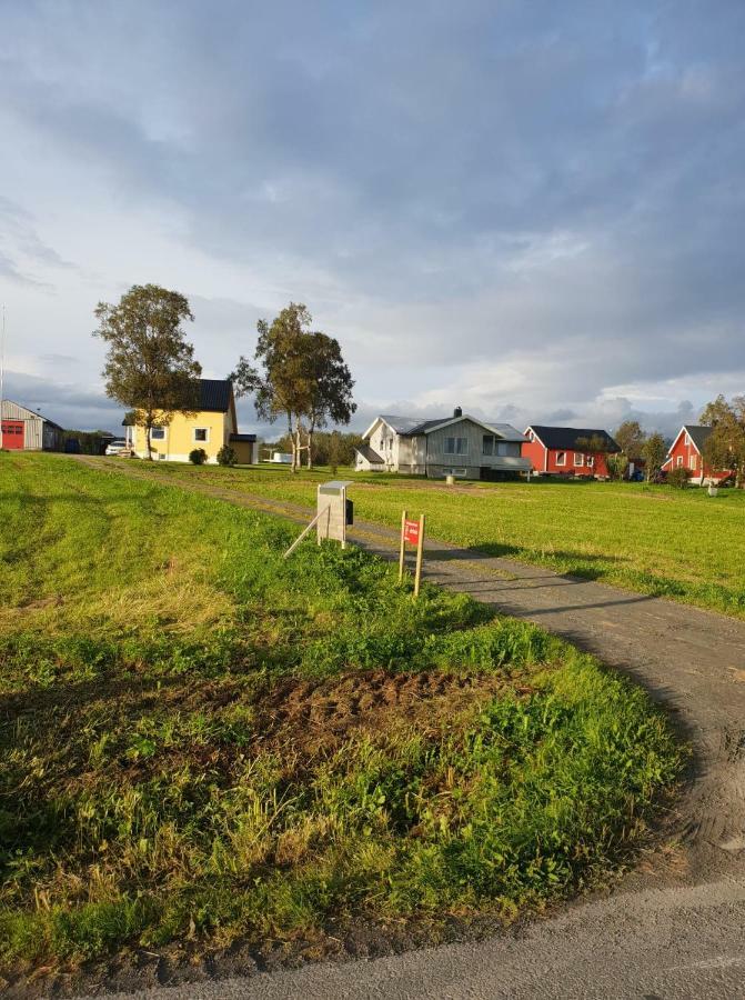 1 Room In The Yellow House, Close To Airport & Lofoten Evenskjer Luaran gambar
